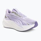 Laufschuhe Puma Maxima Pro light lavender/plum purple