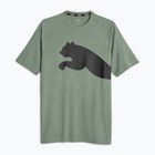 Herren-Trainings-T-Shirt PUMA Train All Day Big Cat eucalyptus/puma schwarz