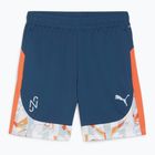 Herren PUMA Neymar JR Kreativität Training Ozean tropischen / heiße Hitze Fußball-Shorts