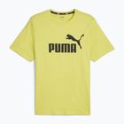 Herren PUMA Es Logo Tee (S) lime sheen T-shirt