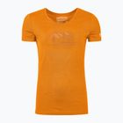 Damen ORTOVOX 150 Cooles Vintage Abzeichen Herbstblätter T-shirt