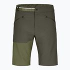 Herren-Shorts ORTOVOX Brenta dunkel Wildkräuter