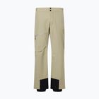 Herren-Skihose Descente Light Insulated snow conifer
