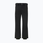 Skihose Herren Descente Swiss Short black