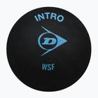 Dunlop Intro Squashball 700105