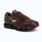 Herrenschuhe Mizuno Wave Prophecy LS chicory coffee/schwarz/chicory coffee