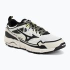 Schuhe Mizuno Wave Daichi LS gf white/black/daiquiri green