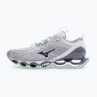 Schuhe Mizuno Wave Prophecy 13.2 harbor mist/black/vibrant green