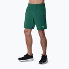 Herrenshorts Mizuno 8 In Flex Short foliage green