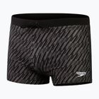 Herren Speedo Valmilton schwarz/goldene graue Badehose