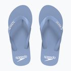Herren Flip-Flops Speedo Flip Flop curious blue