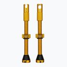 Peaty's X Chris King MK2 Presta Tubeless-Ventile Satz 60 mm gold