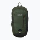 Wanderrucksack REGATTA Highton V2 20 l dkkhk/frlfcl