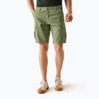Herren-Trekkinghose REGATTA Ruwan Fauna