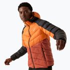 Daunenjacke Herren REGATTA Hooded Dalent fox/red ochre