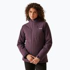 Gefütterte Jacke Damen REGATTA Highton Stretch IV deep plum