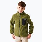 Sweatshrit Hoodie Kinder REGATTA Junior Frankie Full Zip nephrite green