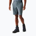 Trekking Shorts Herren REGATTA Eldes stormy weather/ash