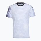 Herren-Laufshirt Mizuno Graphic Short Sleeve Tee tsukikage