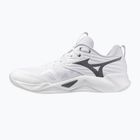 Volleyballschuhe Mizuno Wave Momentum Pro white/metallic gray/black