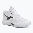 Volleyballschuhe Mizuno Wave Momentum Pro Mid white/metallic gray/black