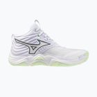 Damen-Volleyballschuhe Mizuno Wave Momentum Elite Mid white/balsam green/ambrosia
