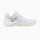 Damen-Volleyballschuhe Mizuno Wave Momentum Pro white/aqua gray/ambrosia