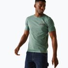 Herren-T-Shirt REGATTA ClineIX spruce green