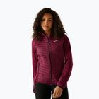 Damen-Hybridjacke REGATTA Andreson Hybrid dark pimento