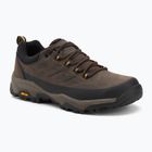 Herren-Trekkingschuhe REGATTA Blake Low peat/wood