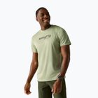 Trekkingshirt Herren REGATTA Fingal light sage