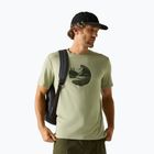 Trekkingshirt Herren REGATTA Fingal Stretch light sage