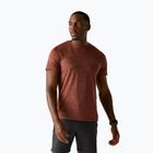Trekkingshirt Herren REGATTA Fingal Edition brick