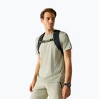 Trekkingshirt Herren REGATTA Fingal Edition light sage