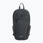 Cityrucksack REGATTA Everyday Prism 20 l ash