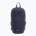 Cityrucksack REGATTA Everyday Prism 20 l night sky