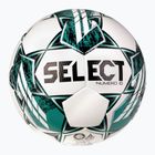 SELECT Fußball Numero 10 v23 weiß/grün Größe 5