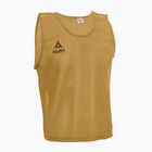 Fußball-Markierung Senior SELECT Basic gold