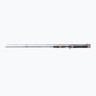 DRAGON Fishing G.P.Concept Jerk 80H Spinnrute
