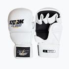 Grappling-Handschuhe StormCloud Hurricane white/black