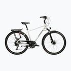 Trekkingrad KROSS Trans 5.0 grey/navy blue/gloss