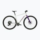 Gravelbike KROSS Esker 1.0 FL grey/purple/gloss