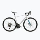 Rennrad KROSS Alta 2.0 silver/turquoise/gloss