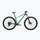 Mountainbike KROSS Level X100 green/black/matte