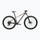 Mountainbike KROSS Level X100 grey/brown/matte