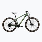 Mountainbike KROSS Hexagon X200 29" green/gloss