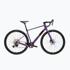 Gravelbike KROSS Esker ADV 1.0 purple/matte