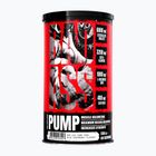 Pre-Workout-Booster Fitness Authority Bad Ass Pump 350 g dragon fruit
