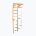 RINAGYM Gymnastikleiter SPR C