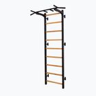 BenchK Gymnastikleiter schwarz BK-721B